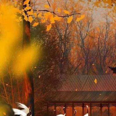 台北故宫博物院展出“看得见的红楼梦”